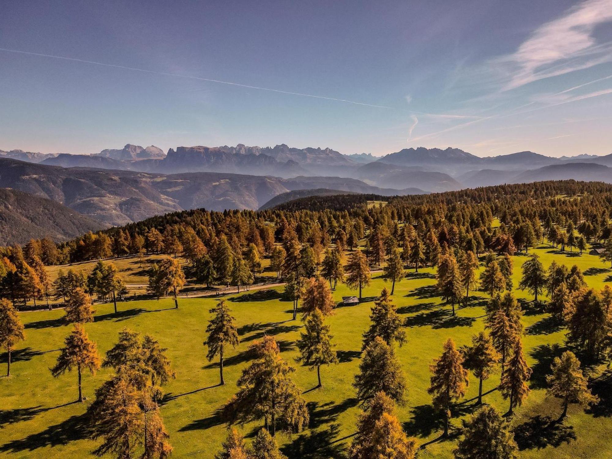 Hotel Belvedere - Fine Dining, Hideaway & Spa San Genesio Atesino Esterno foto